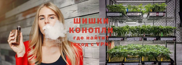ECSTASY Алзамай