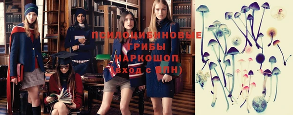 метамфетамин Алексин