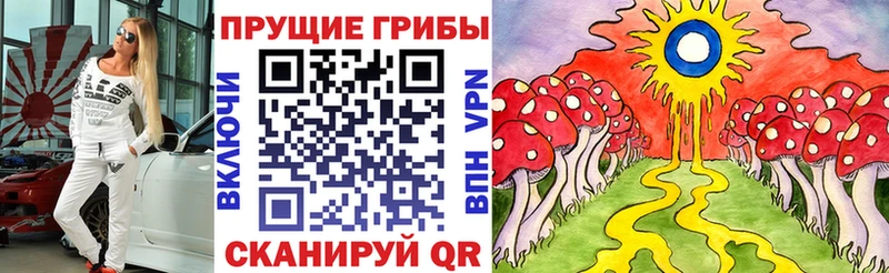 даркнет сайт  Сибай  Галлюциногенные грибы Psilocybe 